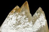 Golden Twinned Calcite Crystals With Barite - Elmwood Mine #89950-3
